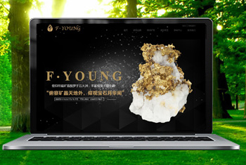 ��ڸ������ﱦʯ